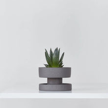 Load image into Gallery viewer, Maria Pot